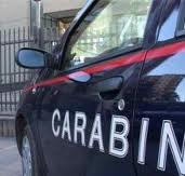 Importante operazione antidroga condotta in Aspromonte dai Carabinieri